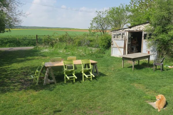 142445376_237356621311147_8455593309491417879_n (compressed)