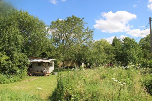 142538562_1292558401125728_828804616293410961_n (compressed)