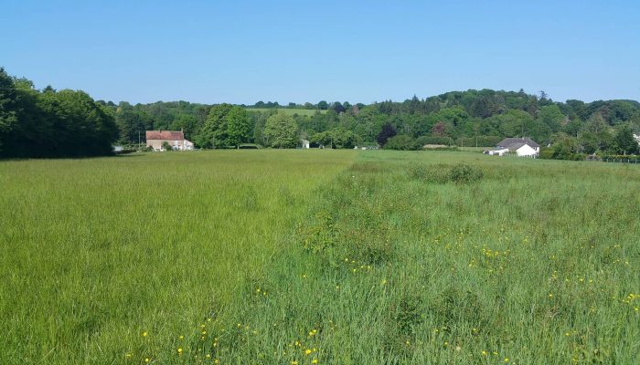 20200506_170414 (compressed)