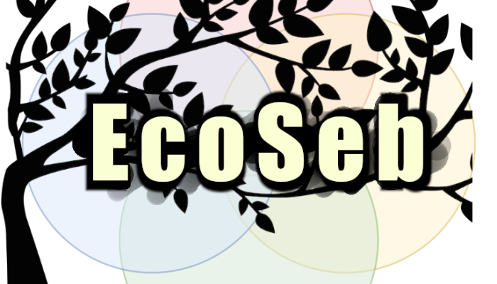 ecoseb 12 - transparent