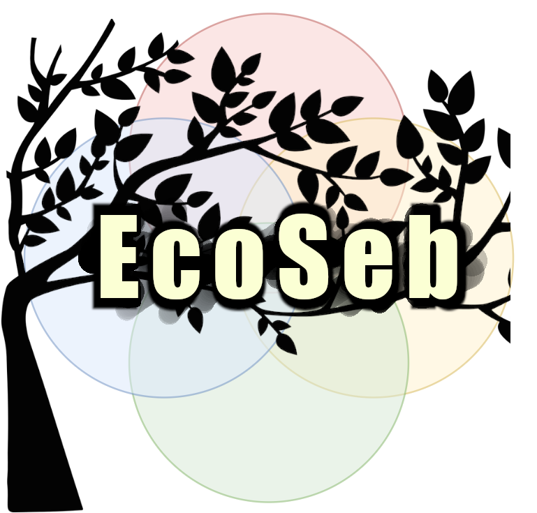 ecoseb 12 – transparent ecoseb 12 - transparent