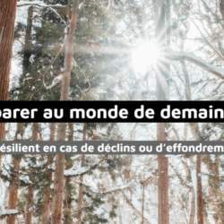Accompagnement Effondrement et résilience : Réussir sa transition.