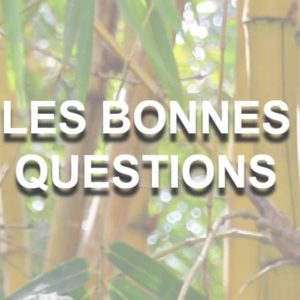 Les bonnes questions pour une vie bien remplie.